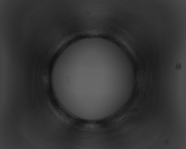 X0000091900212200710031209