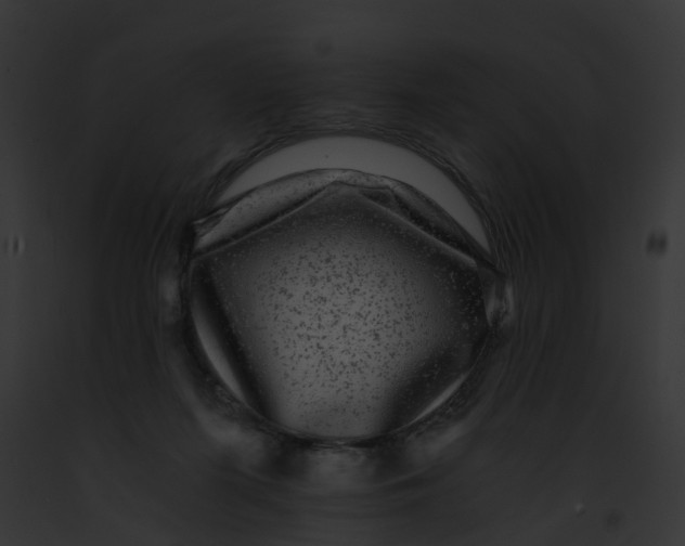 X0000091900215200710031209