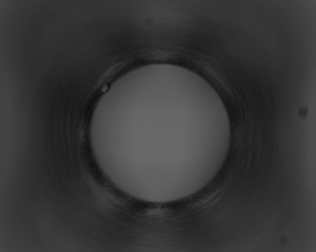 X0000091900216200710031209