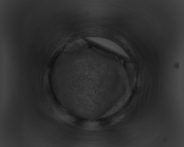 X0000091900217200710031209