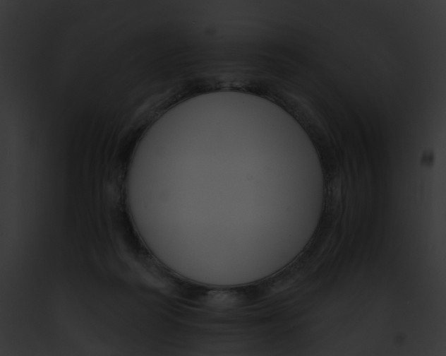 X0000091900218200710031209