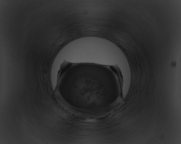 X0000091900219200710031209