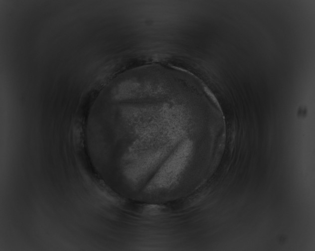 X0000091900222200710031209