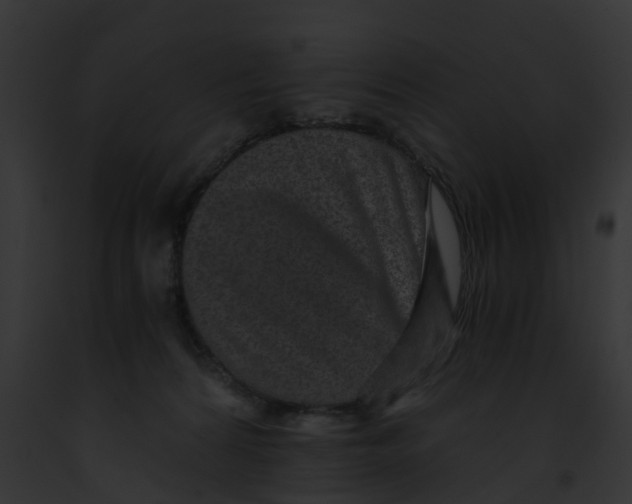 X0000091900224200710031209