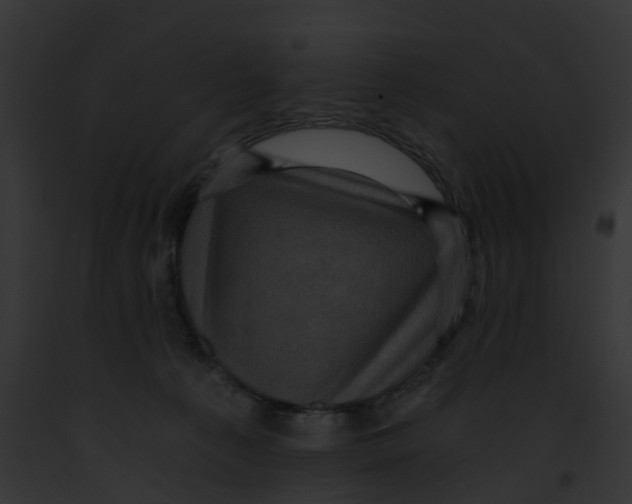 X0000091900225200710031209