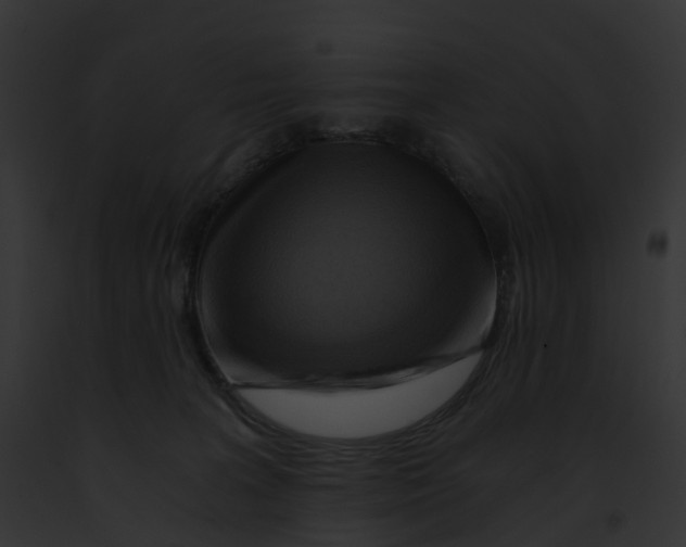 X0000091900227200710031209