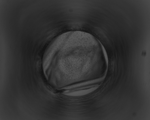 X0000091900228200710031209