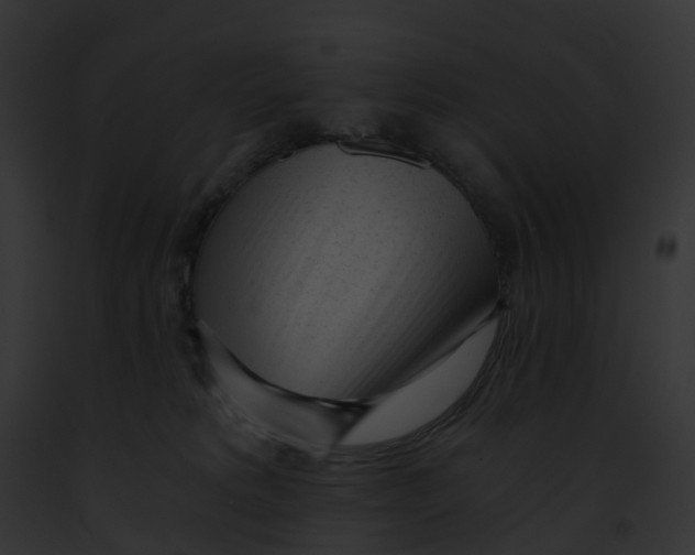 X0000091900229200710031209