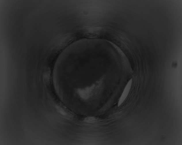 X0000091900231200710031209