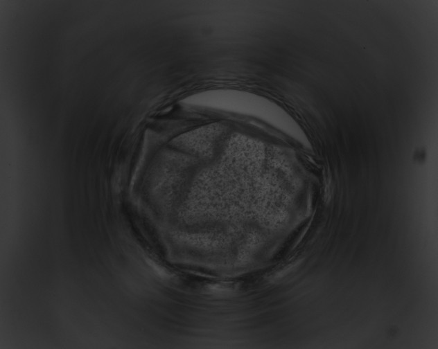 X0000091900232200710031209