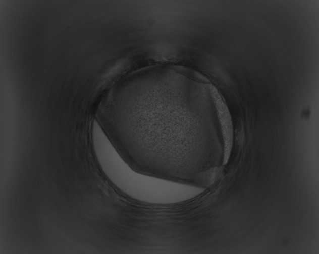 X0000091900233200710031209