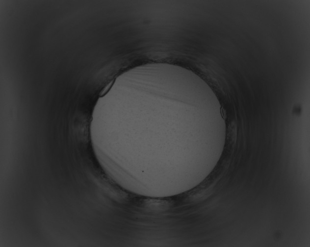 X0000091900234200710031209