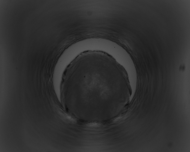 X0000091900237200710031208