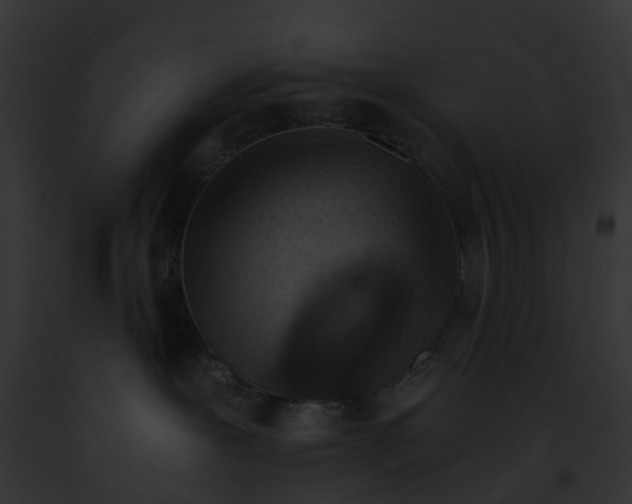 X0000091900239200710031208