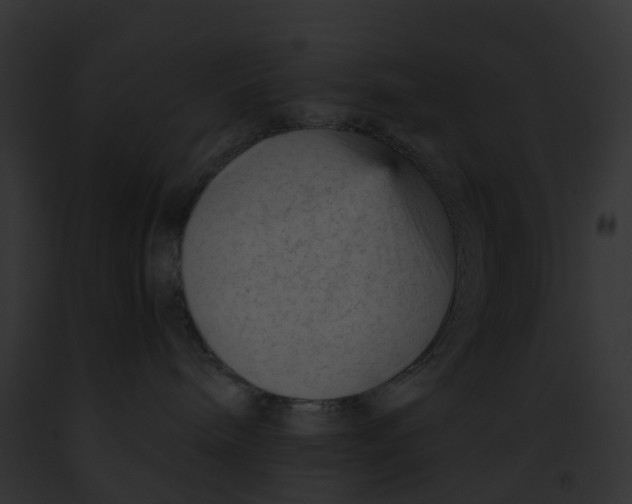 X0000091900240200710031208