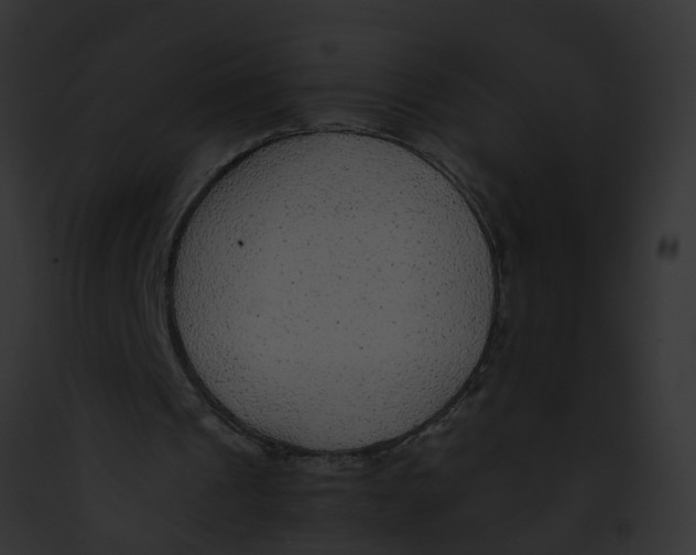 X0000091900241200710031208