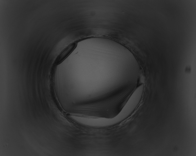 X0000091900242200710031208