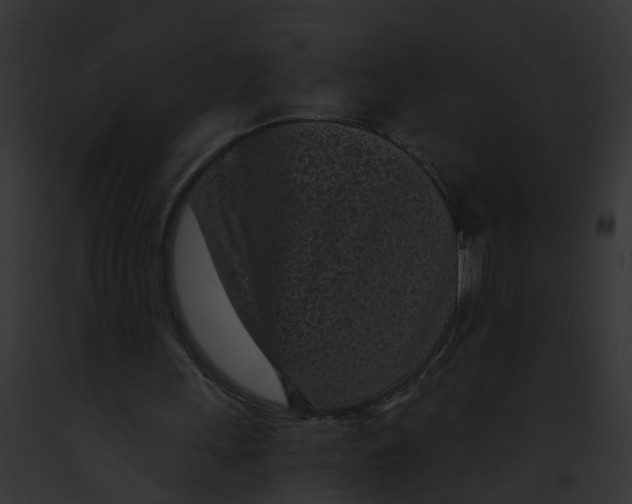 X0000091900243200710031208