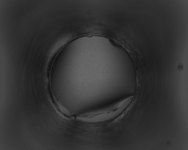 X0000091900245200710031208