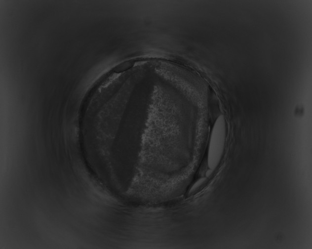 X0000091900247200710031208