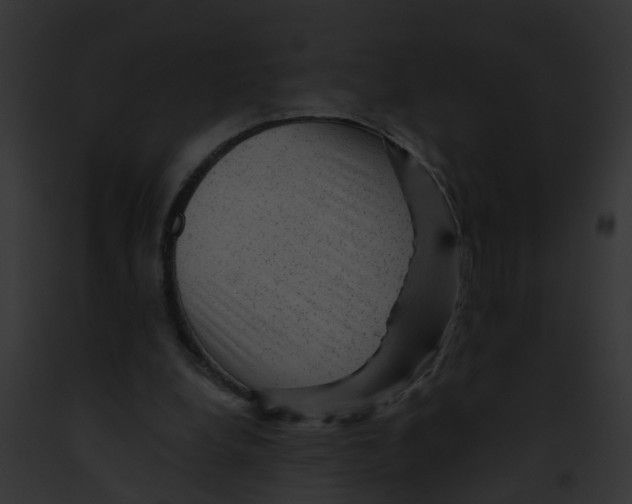 X0000091900248200710031208