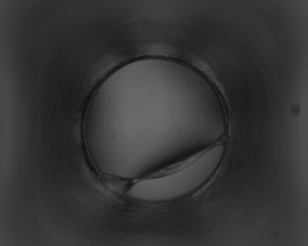 X0000091900249200710031208