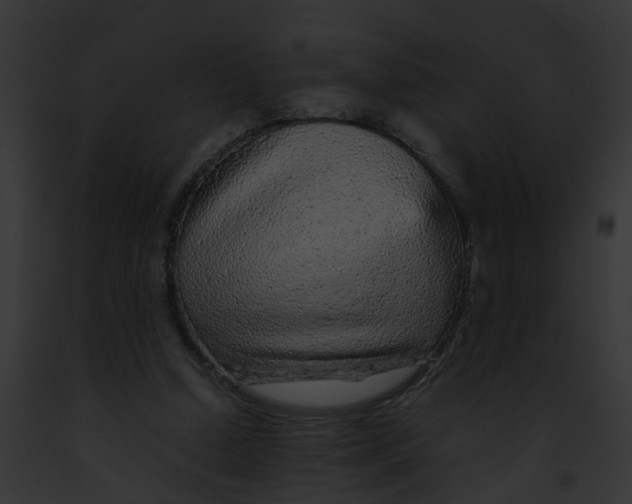 X0000091900250200710031208