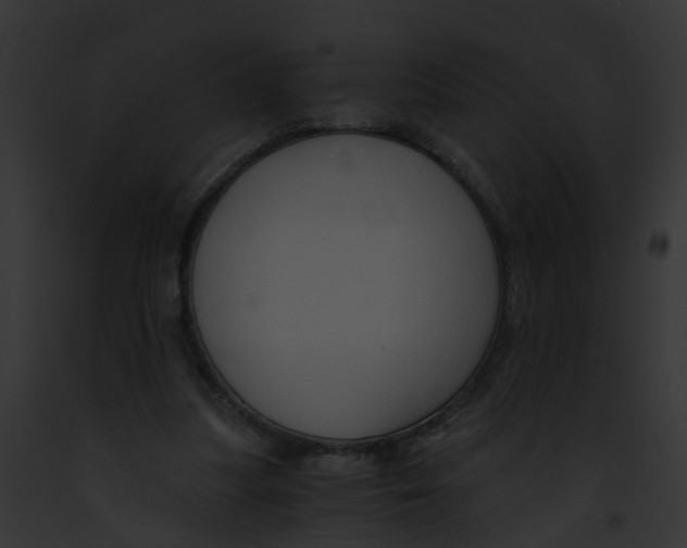 X0000091900251200710031208