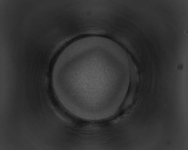 X0000091900252200710031208