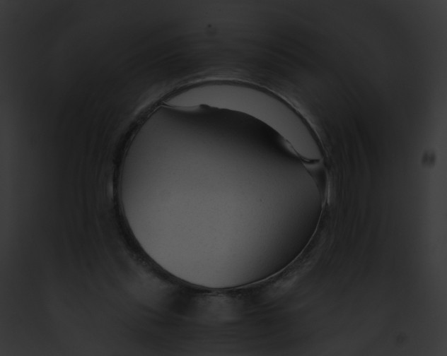 X0000091900253200710031208