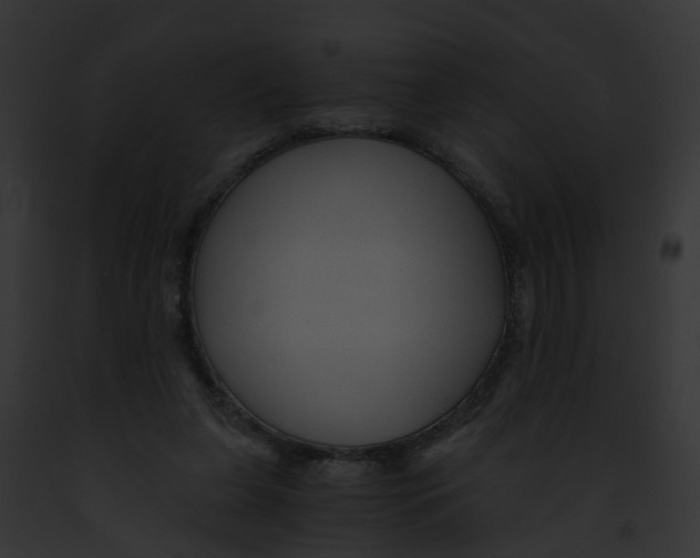 X0000091900255200710031208