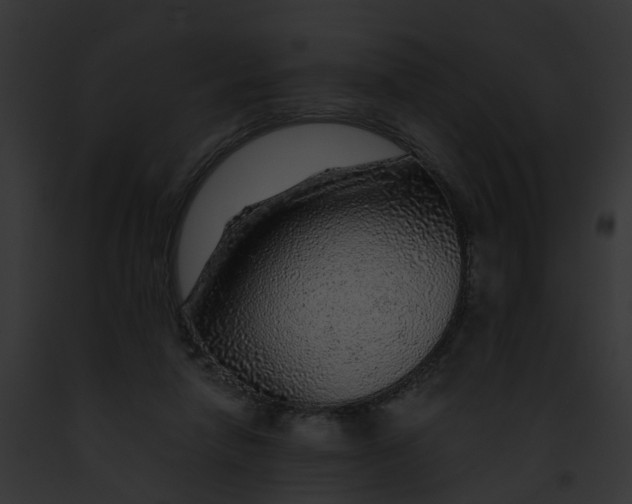 X0000091900258200710031208