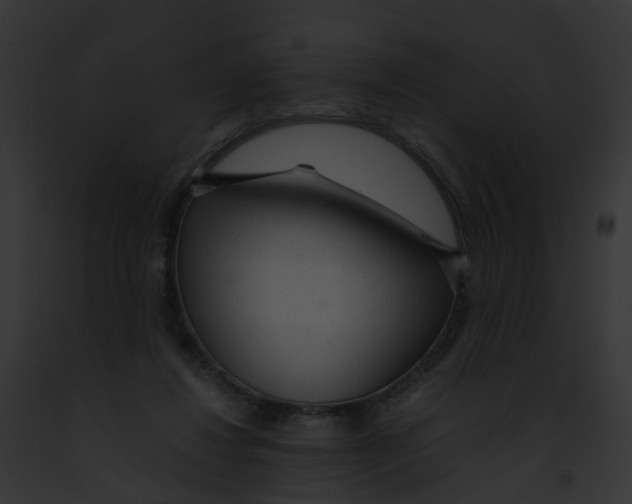 X0000091900260200710031208