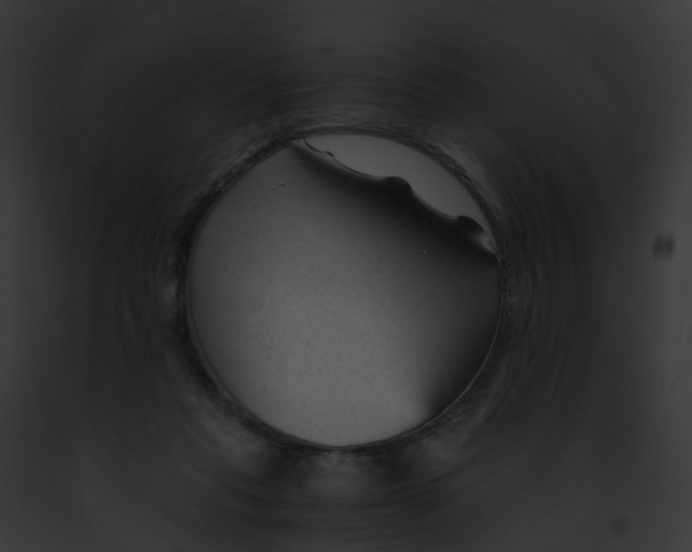 X0000091900261200710031208