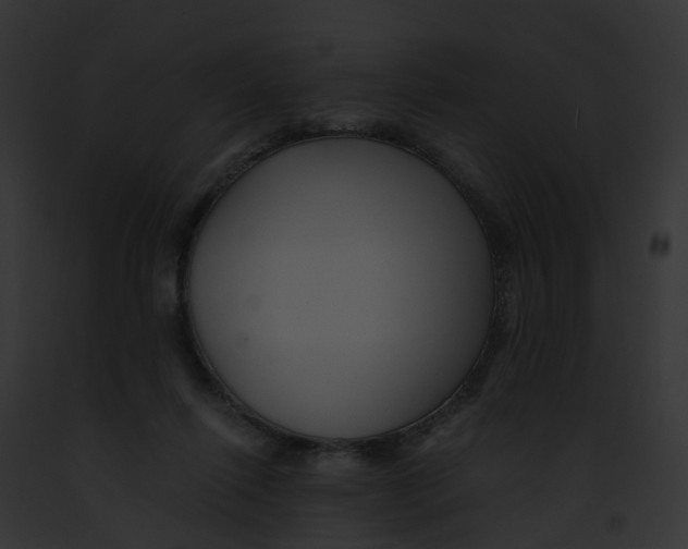 X0000091900262200710031208