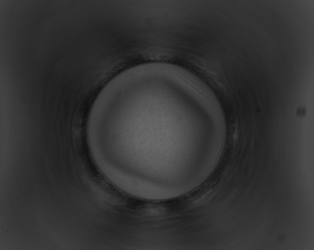 X0000091900263200710031208