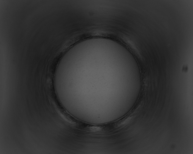 X0000091900265200710031208