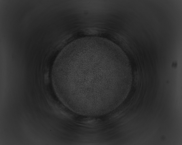 X0000091900267200710031208