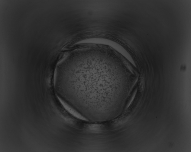 X0000091900268200710031208