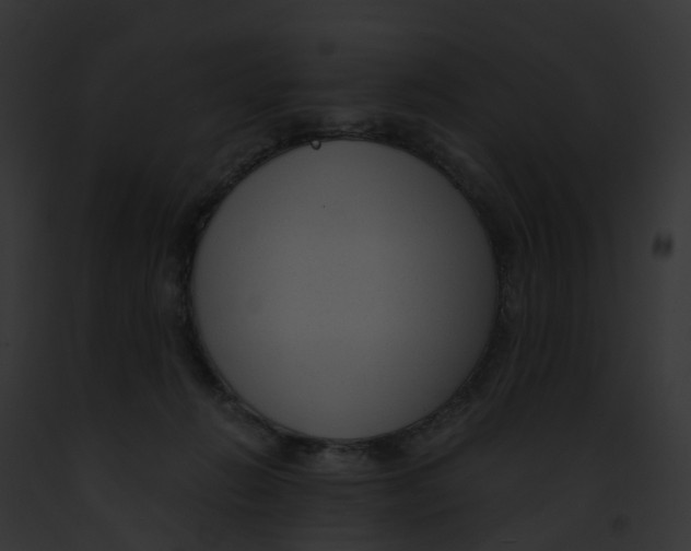 X0000091900270200710031208