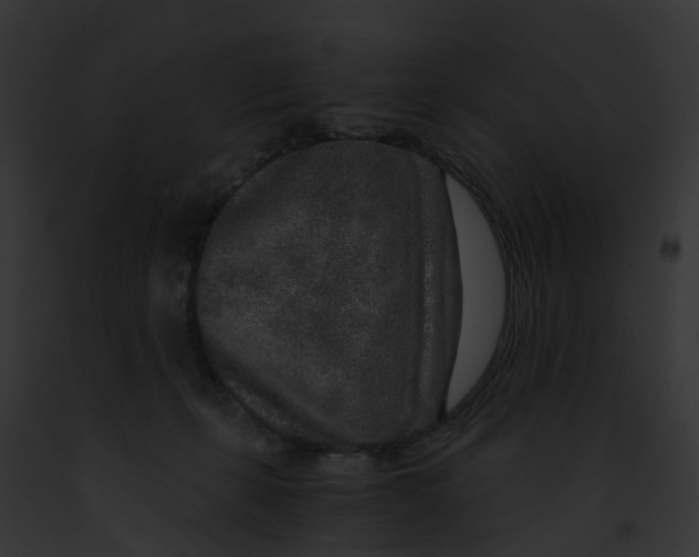 X0000091900271200710031208