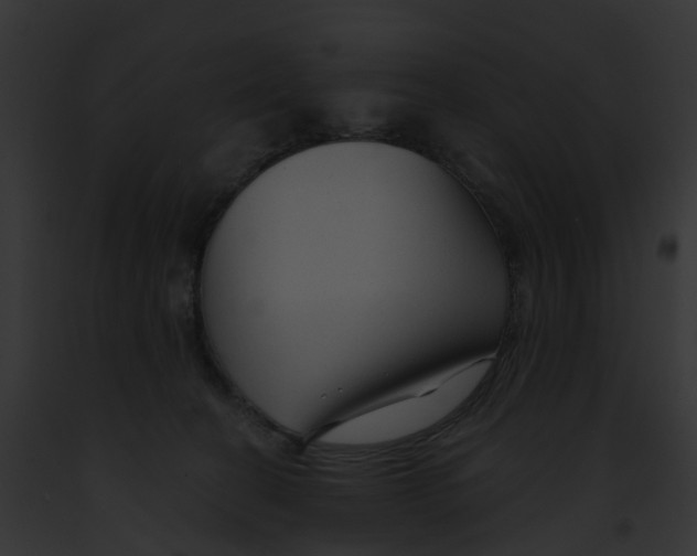 X0000091900274200710031208