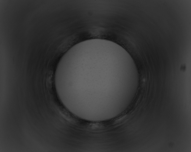 X0000091900275200710031208