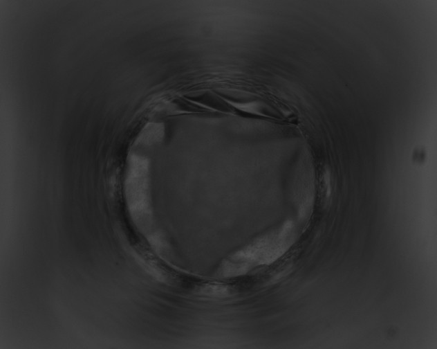 X0000091900276200710031208