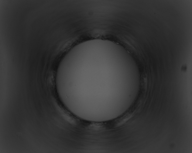 X0000091900280200710031208