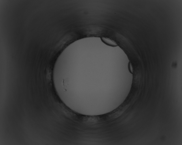 X0000091900282200710031208