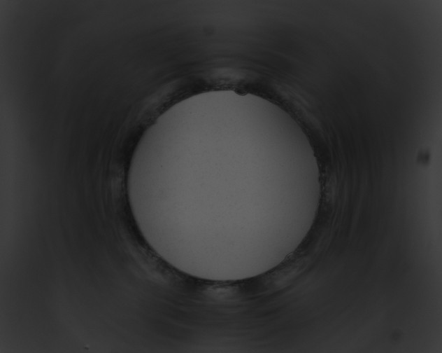 X0000091900283200710031208