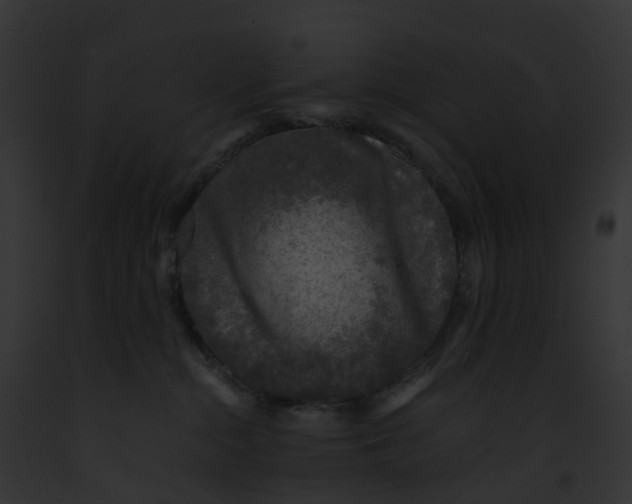 X0000091900284200710031208