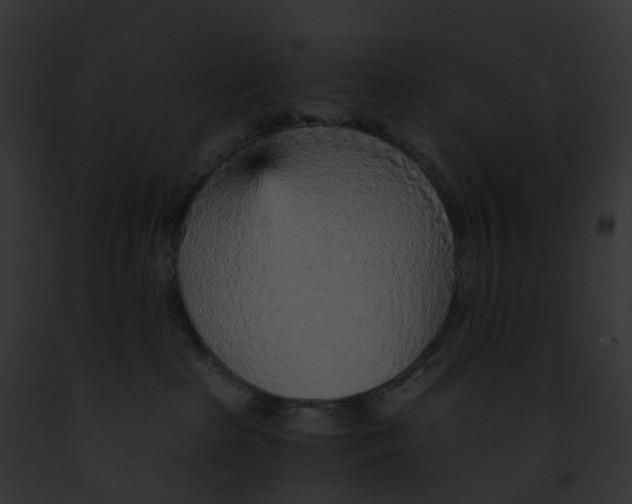 X0000091900285200710031208