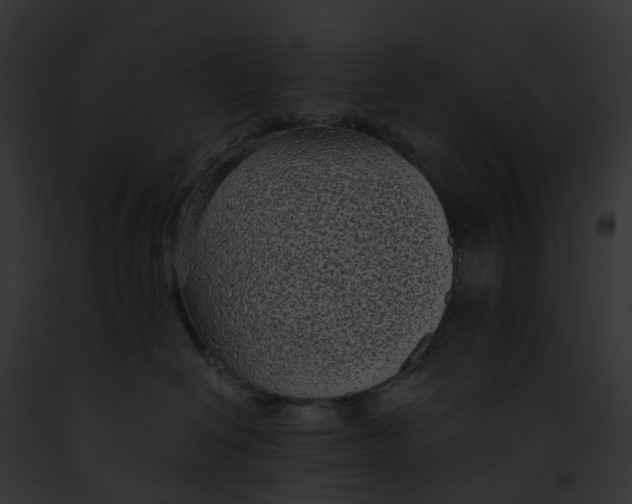 X0000091900286200710031208